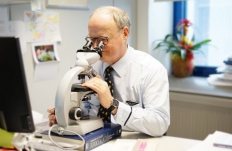 Johannes Harleman