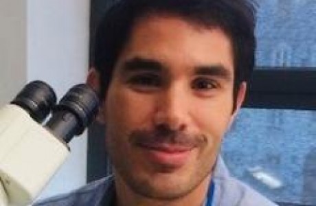 Edouard Reyes-Gomez