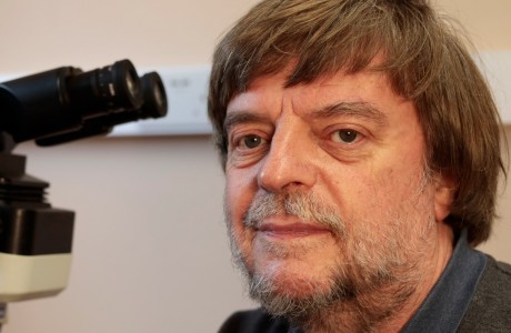 Roger Alison
