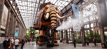 ESVP/ECVP/ESVCP/ECVCP CONGRESS | NANTES 2026